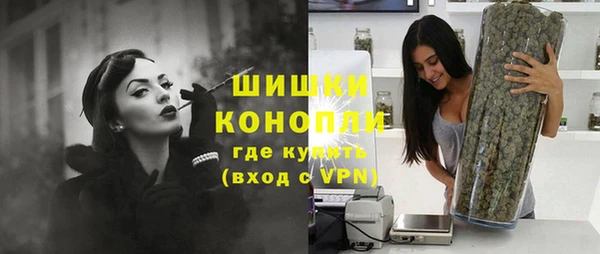 соль ск Белокуриха
