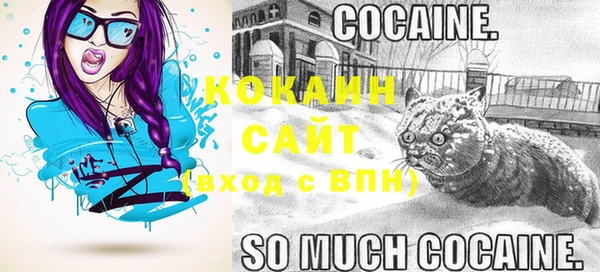 дживик Белоозёрский