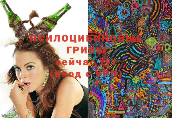 соль ск Белокуриха
