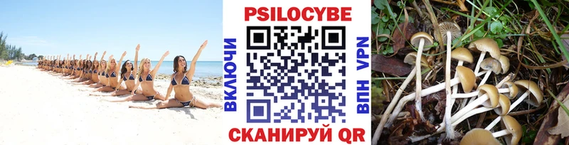 где купить наркоту  Облучье  Псилоцибиновые грибы мицелий 